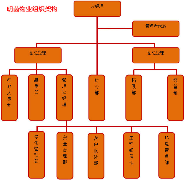 组织架构